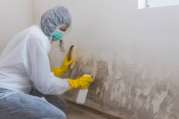 Best Residential Mold Removal  in Blacksburg, VA