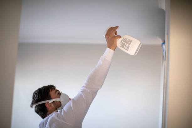 Best Toxic Mold Removal  in Blacksburg, VA
