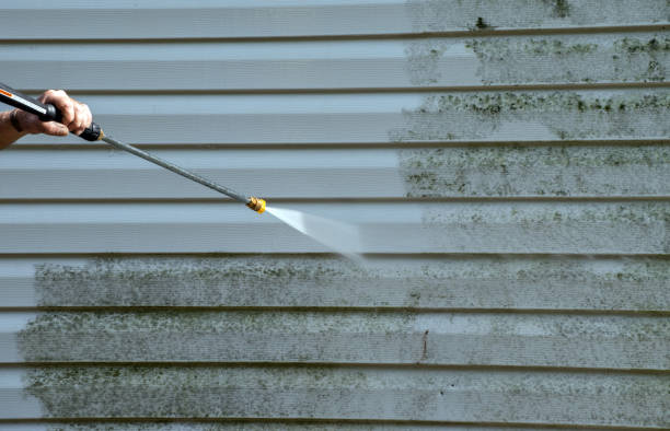 Home Mold Removal in Blacksburg, VA
