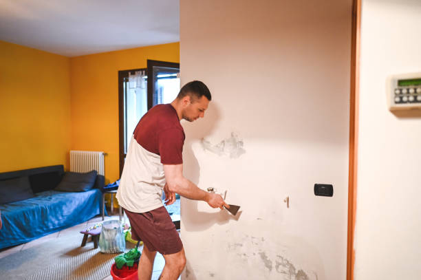 Best Fast Mold Removal  in Blacksburg, VA