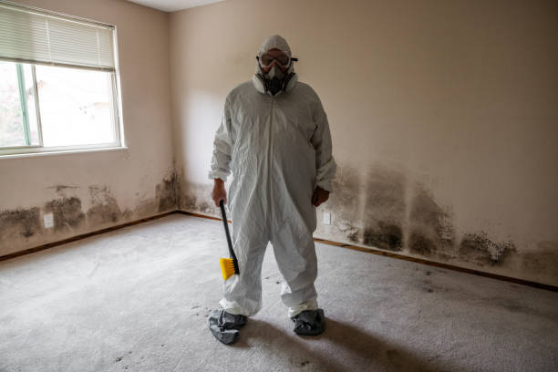 Certified Mold Removal in Blacksburg, VA
